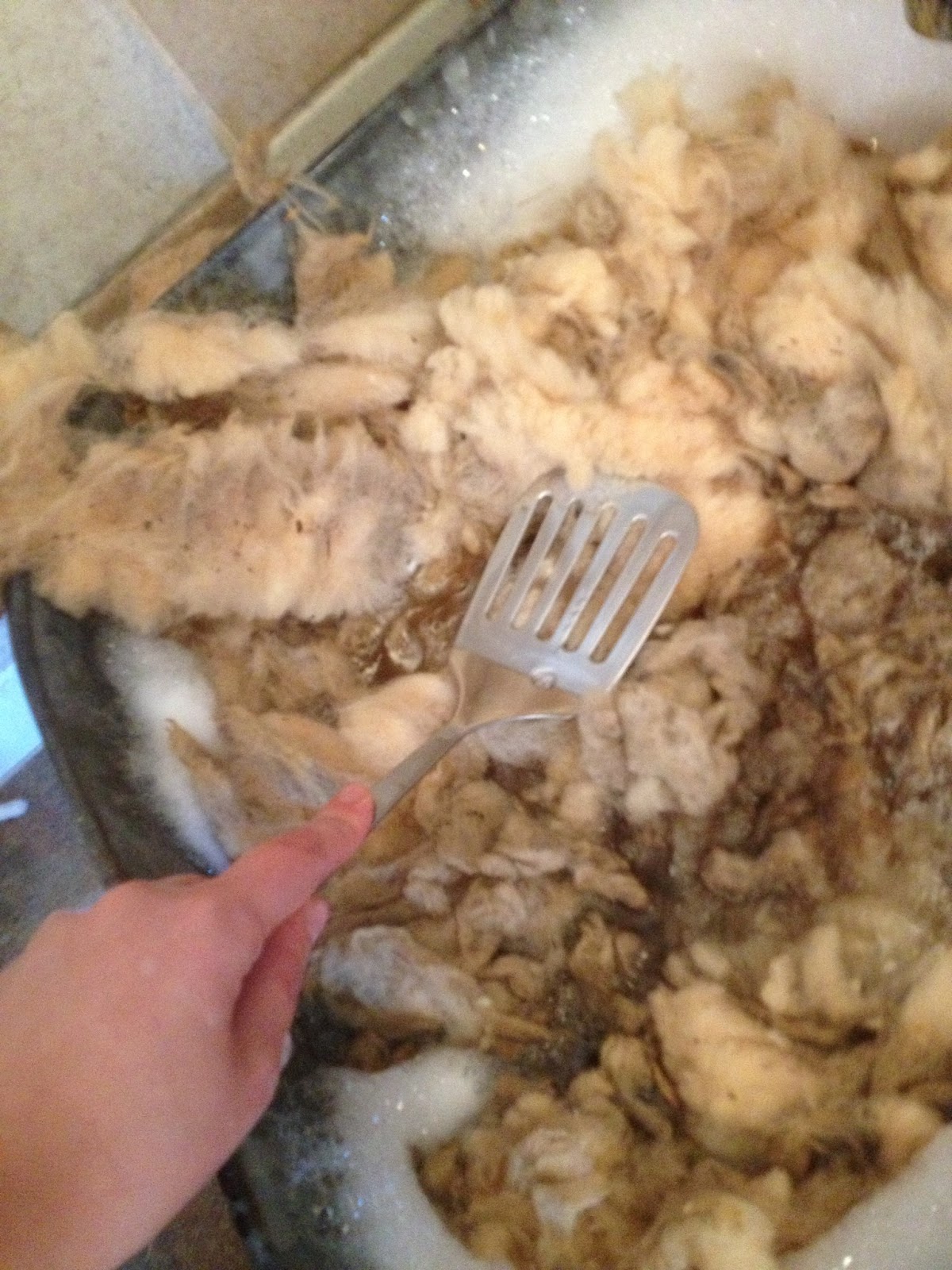 On Washing Old, Dirty Fleece by Hand